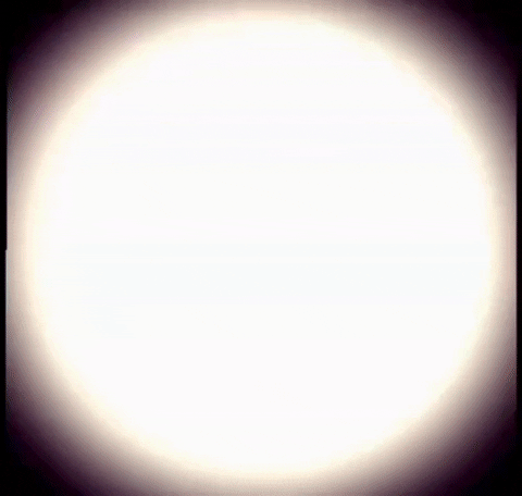 Independence Day Army GIF by Dr. Donna Thomas Rodgers