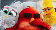 GIF by Angry Birds Movie