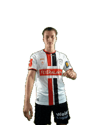 Ivan Admira Sticker by KSV1919