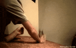 hairless cat GIF