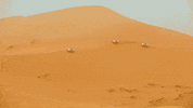 GIF by MAJOR LAZER