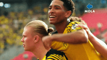 Marco Reus Reaction GIF by MolaTV