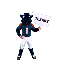 Get Up Nfl Sticker by Houston Texans