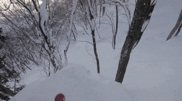 GIF by Red Bull