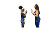 College Sports Ncaa Sticker by Delaware Blue Hens