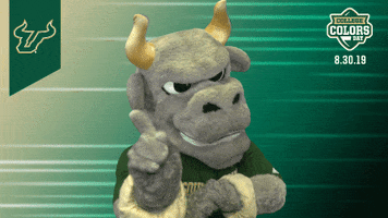 South Florida Bulls GIF by University of South Florida