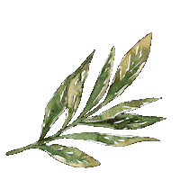 goodobjects green leaf leaves watercolor Sticker