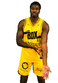 Basket Bordeaux Sticker by JSABMB