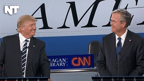 hillary clinton GIF