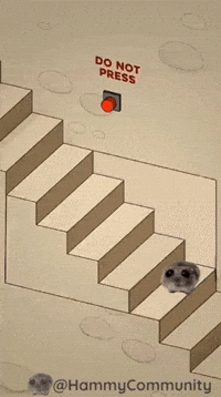 Coin Do Not Press GIF by Sad Hamster