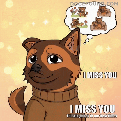 Miss You Love GIF by Doge Pound