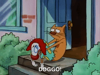 nicksplat GIF