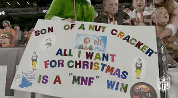 Cleveland Browns Football GIF by NFL