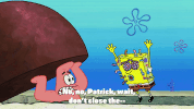 season 10 episode 3 GIF by SpongeBob SquarePants