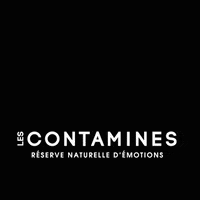 lescontamines  GIF