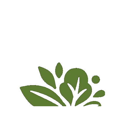 leafdbox giphygifmaker plants garden leaf Sticker