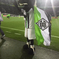 fohlenelf GIF by Borussia Mönchengladbach
