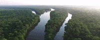 alabama GIF