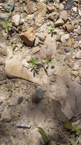 MOhunting giphyupload GIF