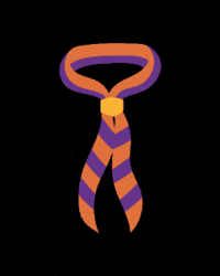 Santjaume GIF by Escoltes Catalans