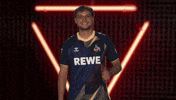Vbl Gesture GIF by Bundesliga