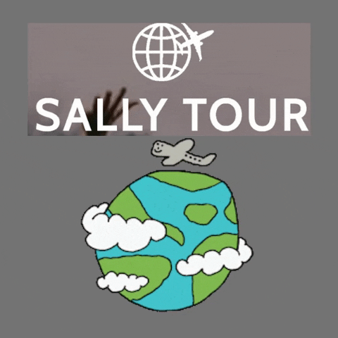 sallytour giphygifmaker giphyattribution sallytour sally tour GIF