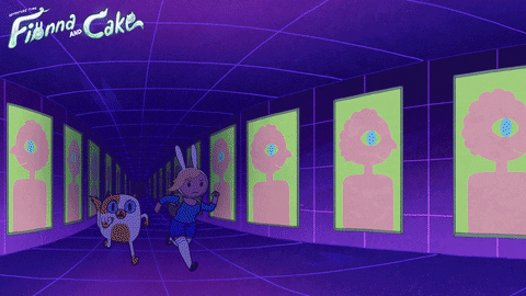 Adventure Time Fionna And Cake GIF by Cartoon Network