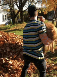 Dog Omg GIF by JustViral