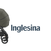 inglesinababy  GIF