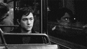 black and white love GIF