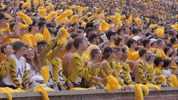 College Football GIF by Mizzou Athletics