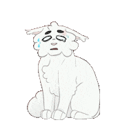 White Cat Sticker