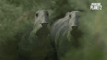 Be Quiet Get Down GIF by Apple TV