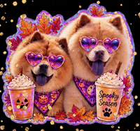 chowchows_sukiandmika halloween trick or treat cute dog spooky season GIF