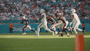 Nfl Football Celebration GIF by New England Patriots