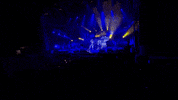 live music GIF by Sabaton