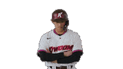 Kbo Sticker by Kiwoom Heroes Baseball Club