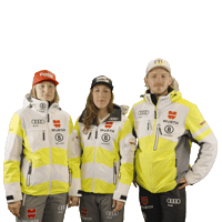 Ski Dsv Sticker by Wuerth Germany