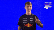Red Bull Sr GIF by Oracle Red Bull Racing