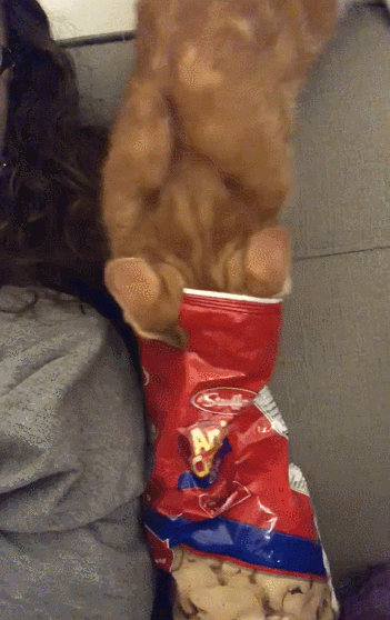 jermbly giphyupload GIF