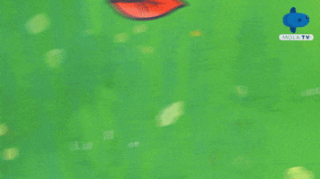 Animation Cartoon GIF by Mola TV Kids