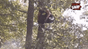 TalkNShop wwe wrestling aew dive GIF
