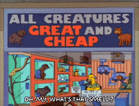 season 3 pets GIF