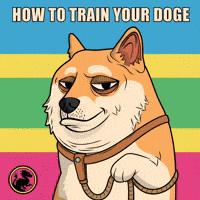 Shiba Inu Dog Training GIF by Doge Pound