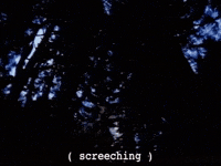 Season 2 Owl GIF by Twin Peaks on Showtime