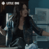 little dog shrug GIF by CBC