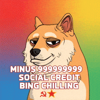 Shiba Inu Dog Meme GIF by Doge Pound