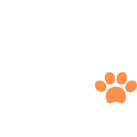 Cat Home Sticker by Walnut Capital