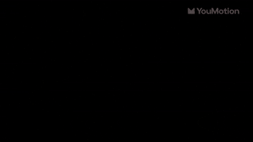 Portfolio slides motion graphics for content creators