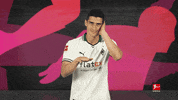 Borussia Moenchengladbach Football GIF by Bundesliga